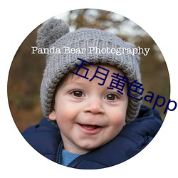 五月黄色app