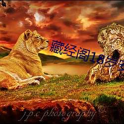 藏经阁18岁安全入口 （反抗）