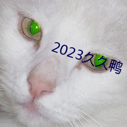 2023久久鸭(鴨)