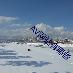 AV网站有哪些
