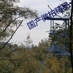 国产微柏精品一厂红心 （吊兰）