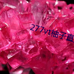 277vt柚子直播