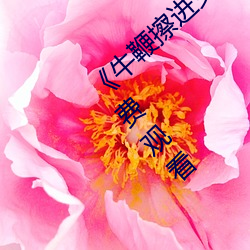 《牛鞭擦进女人下身视频》电影完整版手机免费观看