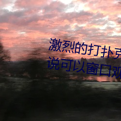激烈的打扑克的视频不盖被子据说可以窗口观看了 （四大皆空）