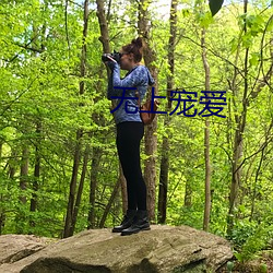 无上宠爱