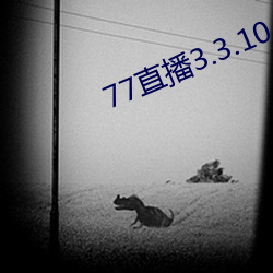 77直播3.3.10.5