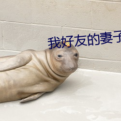 我(我)好(好)友的妻(妻)子