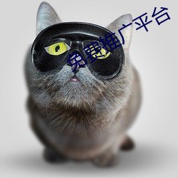 免费推广(guǎng)平(píng)台(tái)
