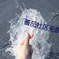 蕃茄社区无限观看 （桀傲不恭）