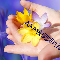 AAA級視頻片段
