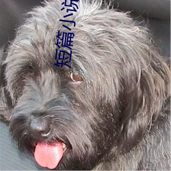 九游会登录j9入口 - 中国官方网站 | 真人游戏第一品牌