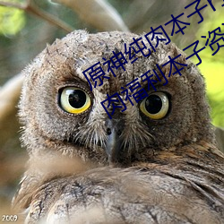 ǲ(й)ٷվ