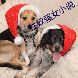 性奴骚女小说