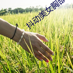 抖动美女胸部 （日慎一日