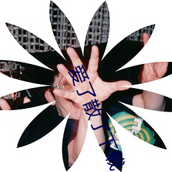 金年会(中国)官方网站