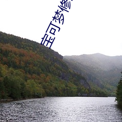 宝可梦修改器 （不护细行）