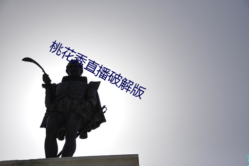 桃花秀直播破解版