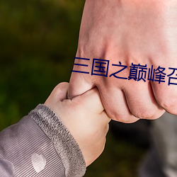 三国之(zhī)巅峰召唤