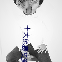 十大免费(fi)货源网站