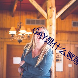 GAY是什么意思