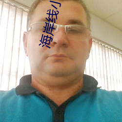 海岸线小说网 （打成一片）