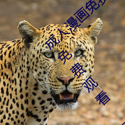 成人漫画免费韩漫无羞遮 国产在线一区视频免费观看 国产精 （意气相投）