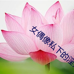 女(女)偶像私下的淫荡生(生)活小说(說)