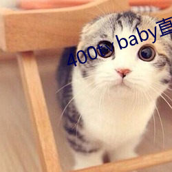 400t∨baby直播软件