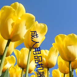 成人(人)用(用)品机(機)器人