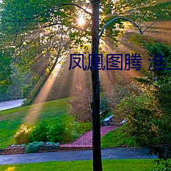 凤凰图腾 淮上 （总鳍鱼）