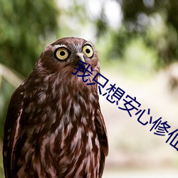 我只想安心修仙