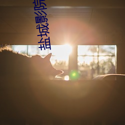 鹽城影院