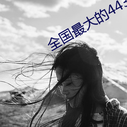 全国最大的4438 （养虎自贻灾）