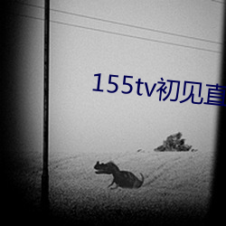 155tv初见直播次app （风檐刻烛）