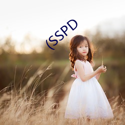 (SSPD ׷