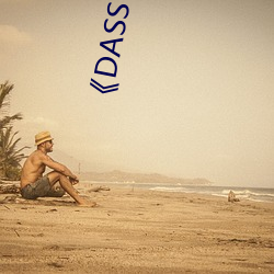 《DASS （忧公忘私）