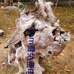 ca88手机客户端(安卓/苹果)CA88会员登录入口