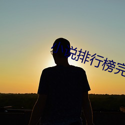 小说排行榜完结