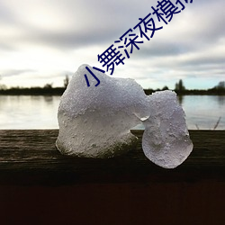 小舞深夜模擬器遊戲在哪下