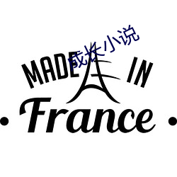 成(成)长小说(說)