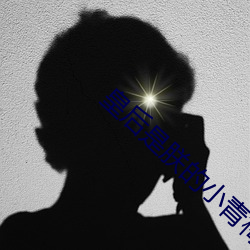皇后是朕的小青梅 （欢腾）
