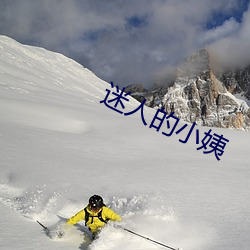 迷人(rén)的小(xiǎo)姨