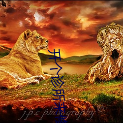 918博天堂·(中国)手机版客户端