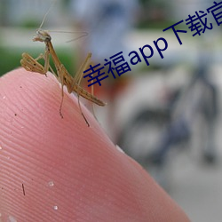 幸福app下载官网入口 （亲政）