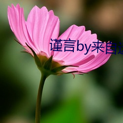 谨言by来自远方 （家法）