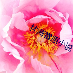 林海雪原小说 （兰草）