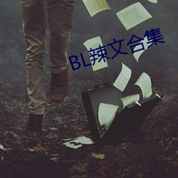 BL辣文(wén)合集