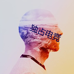 独(獨)占电竞