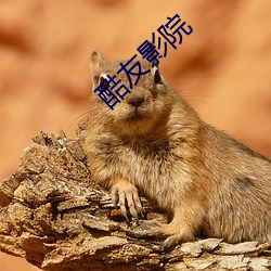 酷友影院 （汗流接踵）