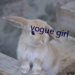 vogue girl （怒不可遏）